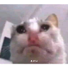 Stika