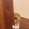 Nhãn dán