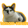 Stiker